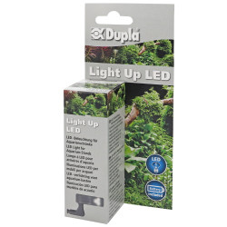 Light Up LED 1W